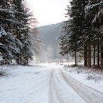 Schließlich zweigt der Weg Nr. 5 rechts ab