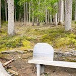 Kunstvoll gestaltete Bank auf dem LandArt-Weg