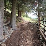 Auf dem Weg Nr. 7A in Richtung Geige