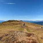 Nahezu eben quert man den Puflatsch vom Fillner zum Goller Kreuz