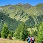 Abstieg von der Tschiffernaun Alm zur Fane Alm