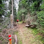 Der Weg zur Incisa Lodge ist gut markiert