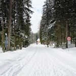 Hinter der Enzianhütte steigt die Staller Sattel Straße zur Steinzgeralm an