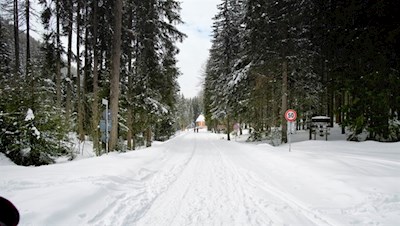 Hinter der Enzianhütte steigt die Staller Sattel Straße zur Steinzgeralm an