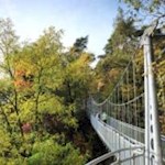 Die Hängebrücke führt auf den Algunder Waalweg