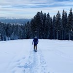 Mit den Schneeschuhen durch die Latemarwiesen