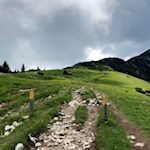 In the gentle climb to the Cima delle Pozzette