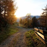 „Es gibt eine Stille des Herbstes bis in die Farben hinein“ (Hugo von Hofmannsthal)