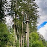 Hochseilgarten Issing