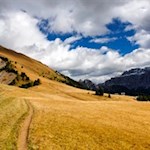 Unterhalb des Monte Pic breiten sich malerische Almwiesen aus