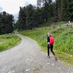Auf dem Wanderweg Nr. 6 zur Rossalm