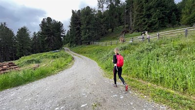 Auf dem Wanderweg Nr. 6 zur Rossalm