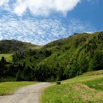 Auf zunächst breitem Wege in Richtung Speikboden