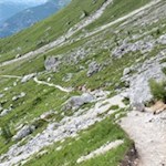 Abstieg von der Fonda Savio Hütte auf dem Weg Nr. 115