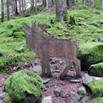 Am Wegesrand gibt es so manches zu entdecken...