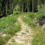 Auf dem Weg zur Puntleider See Alm