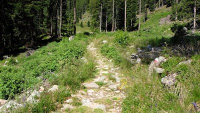 Auf dem Weg zur Puntleider See Alm