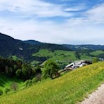 Sanfte Wiesen und Wälder prägen die Gemeinde Völs