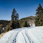 Gemütliche Winterwanderung in Richtung Gols