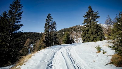 Gemütliche Winterwanderung in Richtung Gols