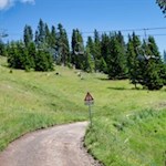 Der Weg Nr. 9 führt von der Schgaguler Schwaige zur Bergstation zurück