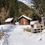Durch die idyllische Almlandschaft zur Huber Alm
