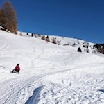 Rodeln in Sarntal