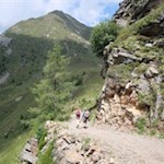Mit Blick auf den Fallmetzer steigt der Weg zur Weißalm ab