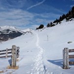 Von "Moar in Ums" aufs Prackfieder Jöchl