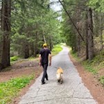 Auf dem anfangs breiten Weg in Richtung Villanderer Alm