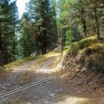 Der erste Teil der Wanderung führt im sanften Anstieg durch den Wald