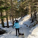 Mit der Rodel zur Kreuzwiesenalm