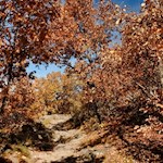 Herbststimmung auf dem Weg nach Oberbozen