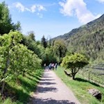 Der Maiser Waalweg erfreut sich großer Beliebtheit