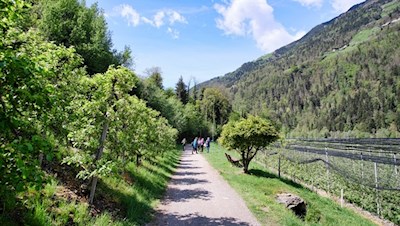 Der Maiser Waalweg erfreut sich großer Beliebtheit