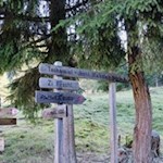 Diese Wanderung ist gut ausgeschildert