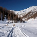 Im Hintergrund erhebt sich der Fallmetzer