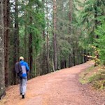 Der Wald-Wild-Wunder-Weg führt durch den Wald