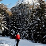 Mit der Rodel auf den Staller Sattel