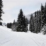 Die Wanderung führt im sanften Anstieg durch das tiefverschneite Karbachtal
