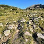 Über freie Wiesenhänge zum Totenkirchl