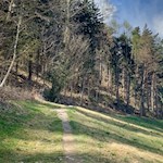 Auf dem Weg Nr. 1 zum Vahrner See