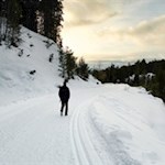 Winterwanderung zur Halslhütte