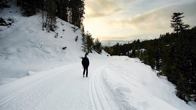 Winterwanderung zur Halslhütte
