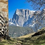 Neben dem Verenakirchlein öffnen sich schöne Ausblicke auf den Schlern