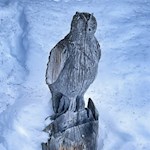 Eule am Naturerlebnisweg