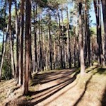Auf dem sanften Rundweg Laranz