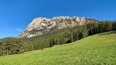 Against the backdrop of the Sciliar to the Hofer Alpl