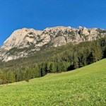 Sullo sfondo dello Sciliar fino all'Hofer Alpl