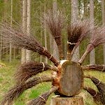 "LandArt" zwischen Issing und Pfalzen